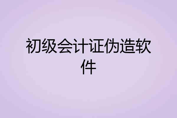 初级会计证伪造软件