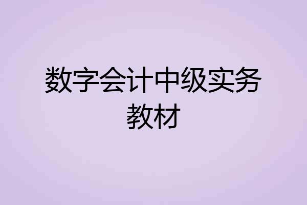 数字会计中级实务教材