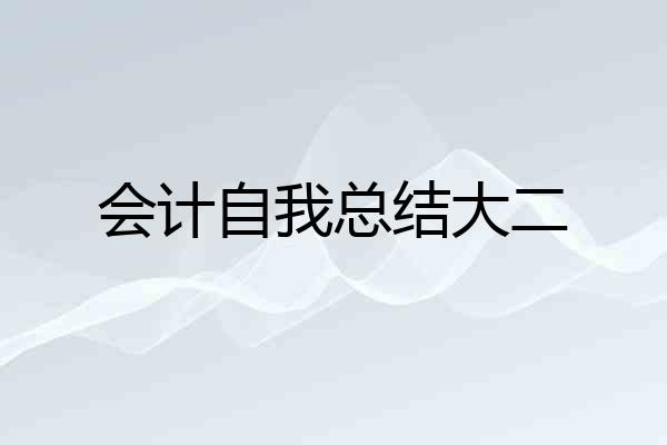 会计自我总结大二