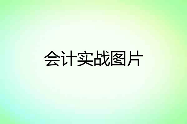 会计实战图片