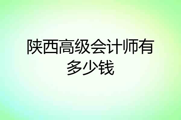 陕西高级会计师有多少钱