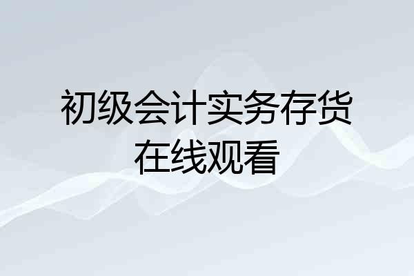 初级会计实务存货在线观看