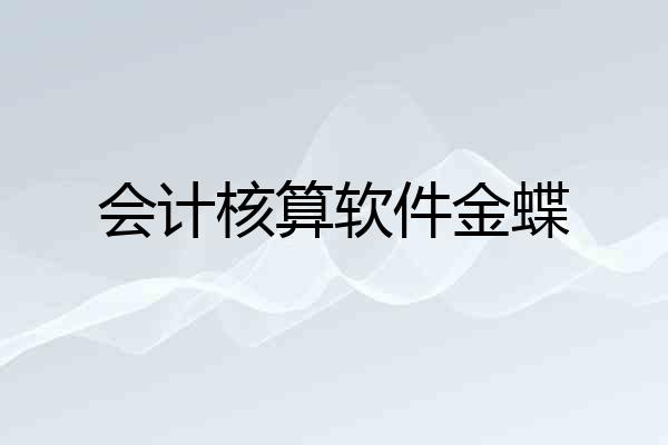 会计核算软件金蝶