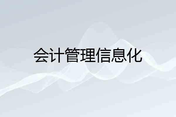 会计管理信息化
