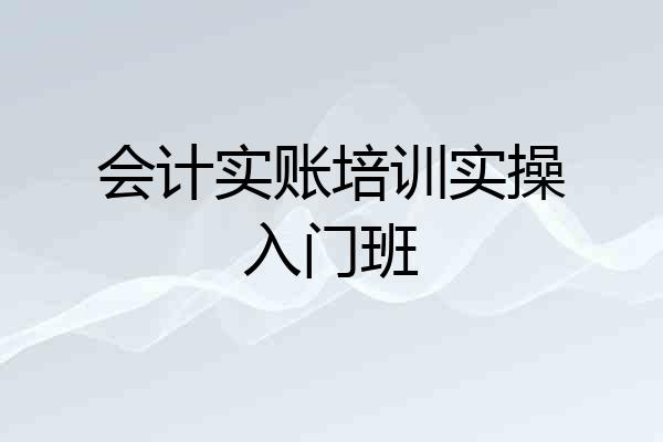 会计实账培训实操入门班