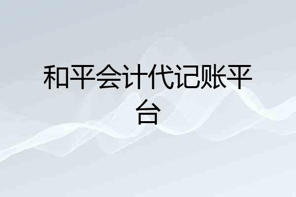和平会计代记账平台