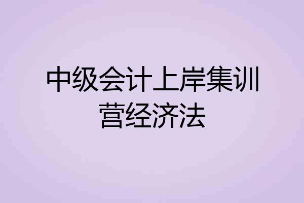 中级会计上岸集训营经济法