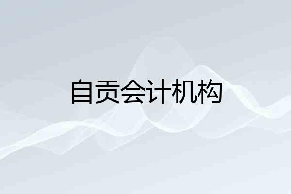 自贡会计机构