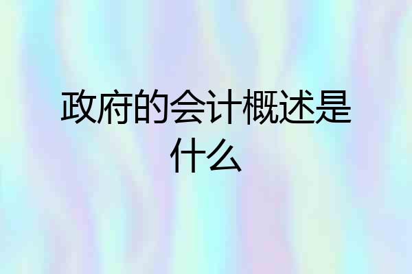 政府的会计概述是什么