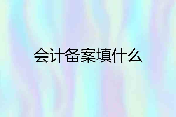 会计备案填什么