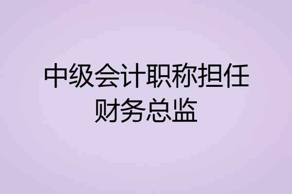 中级会计职称担任财务总监