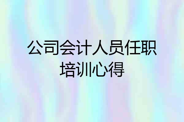 公司会计人员任职培训心得