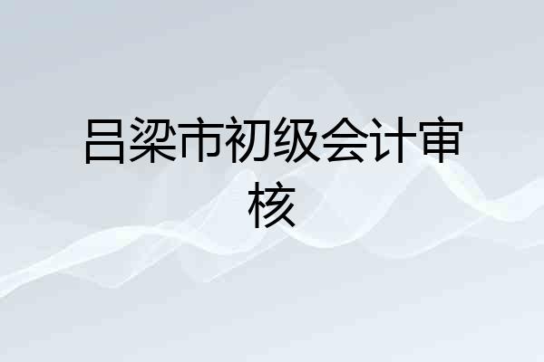 吕梁市初级会计审核