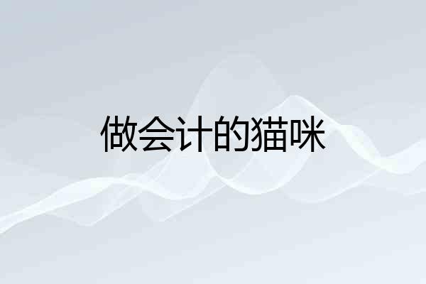 做会计的猫咪