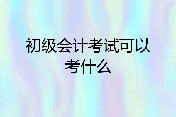 初级会计考试可以考什么