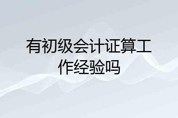 有初级会计证算工作经验吗