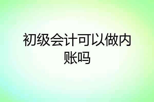 初级会计可以做内账吗