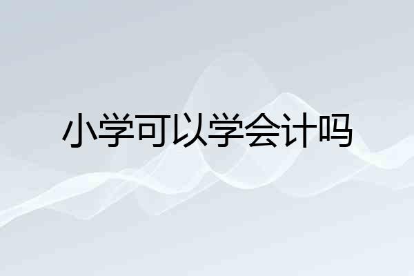 小学可以学会计吗