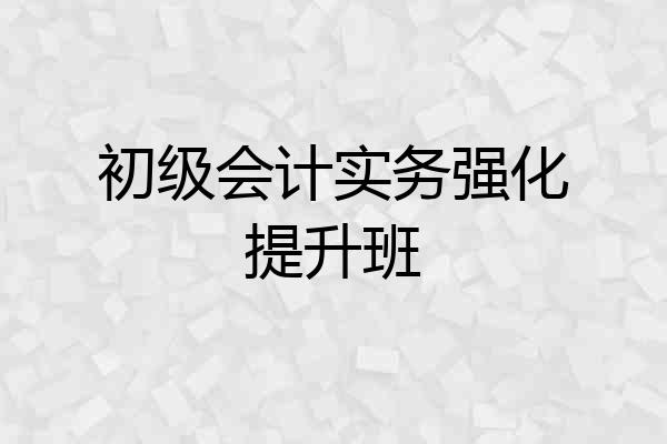初级会计实务强化提升班