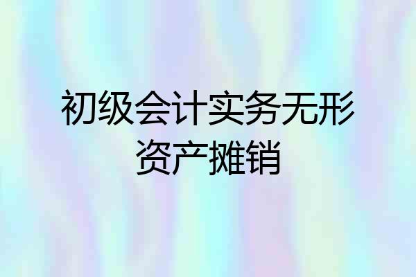 初级会计实务无形资产摊销
