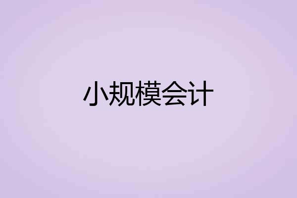 小规模会计