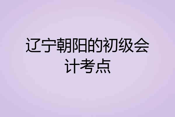 辽宁朝阳的初级会计考点