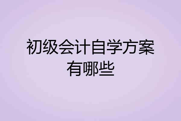 初级会计自学方案有哪些
