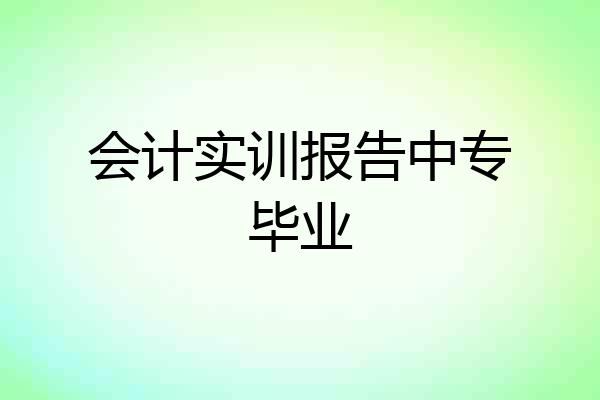 会计实训报告中专毕业