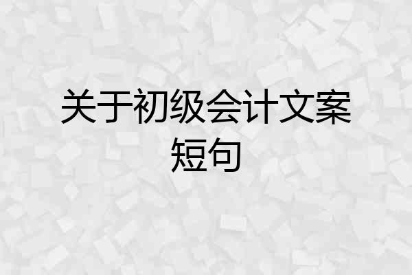 关于初级会计文案短句