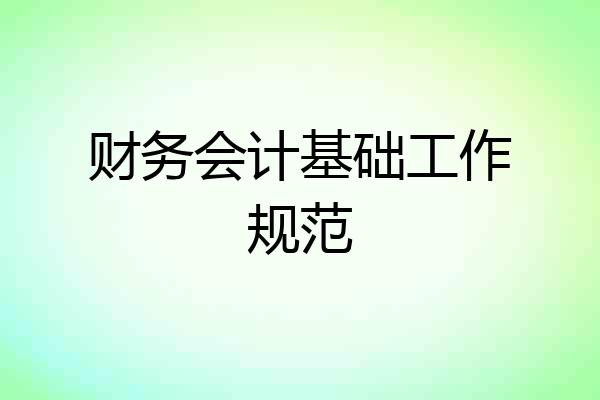 财务会计基础工作规范