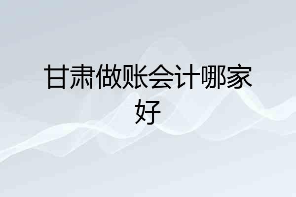 甘肃做账会计哪家好