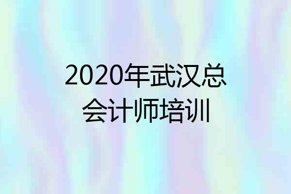 2020年武汉总会计师培训