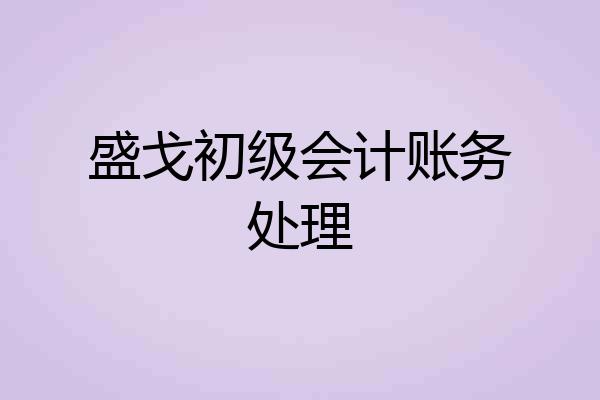 盛戈初级会计账务处理