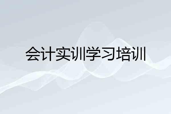 会计实训学习培训