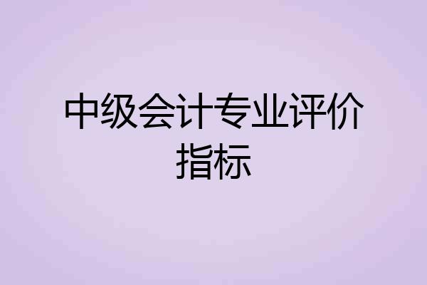 中级会计专业评价指标
