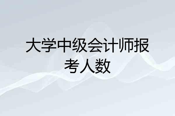 大学中级会计师报考人数