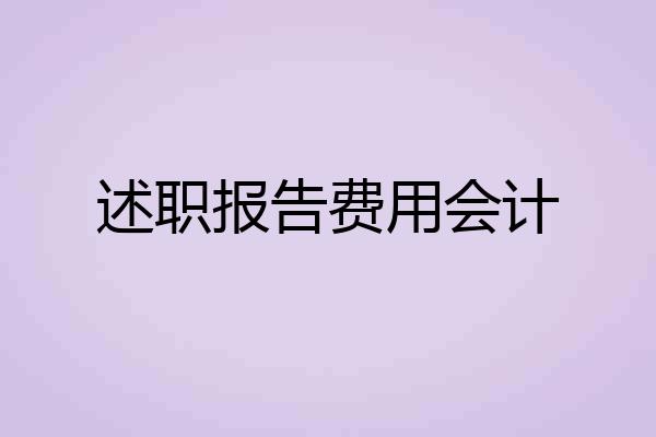 述职报告费用会计