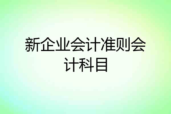 新企业会计准则会计科目