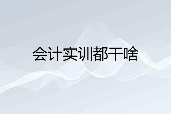 会计实训都干啥
