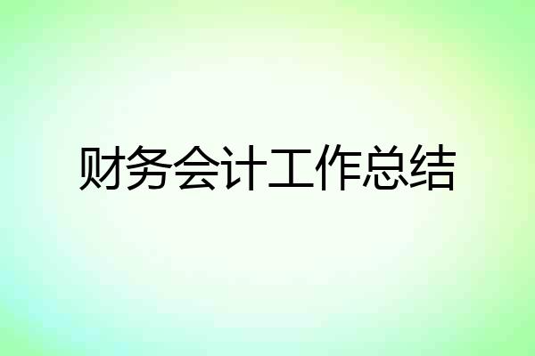 财务会计工作总结