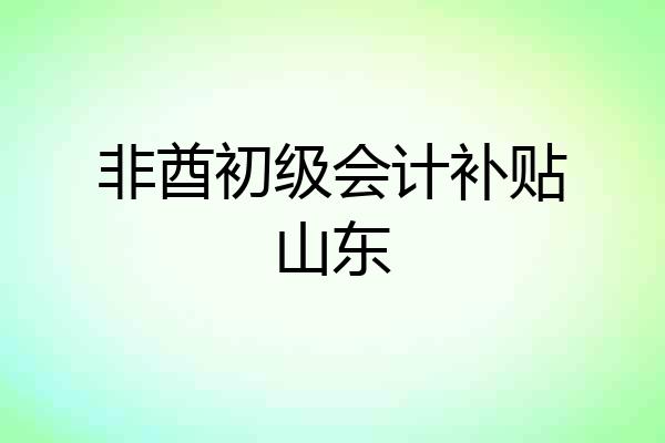 非酋初级会计补贴山东