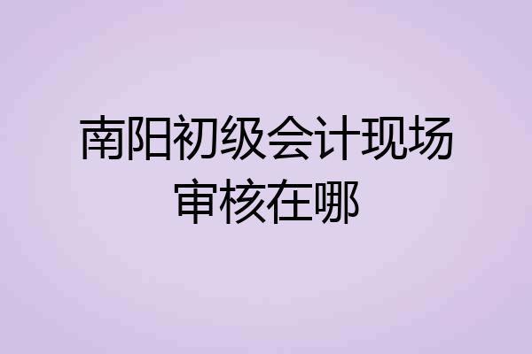 南阳初级会计现场审核在哪