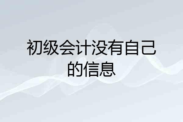 初级会计没有自己的信息