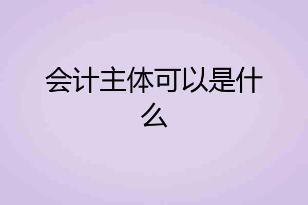 会计主体可以是什么