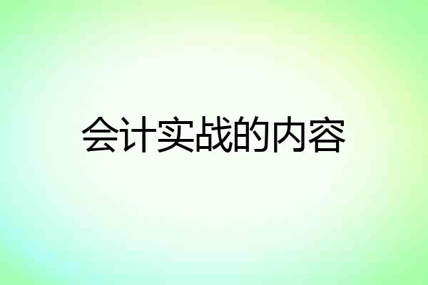 会计实战的内容