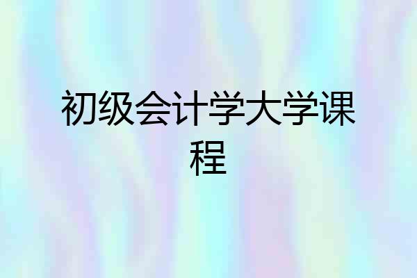 初级会计学大学课程