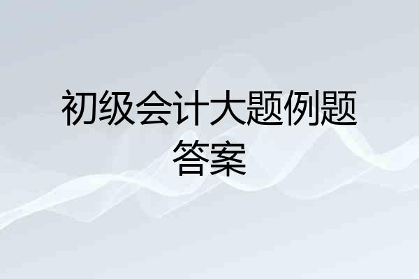 初级会计大题例题答案