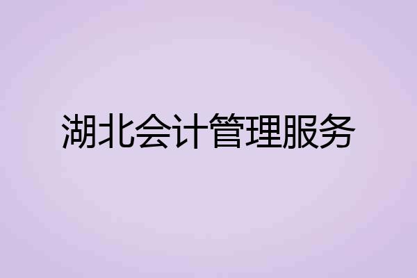 湖北会计管理服务