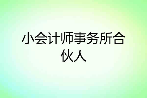 小会计师事务所合伙人
