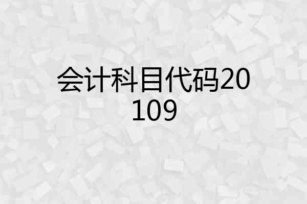 会计科目代码20109